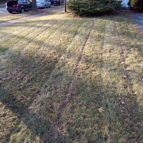 Leaf Removal by G Infinite Solution LLC reviewed on September 24, 2025