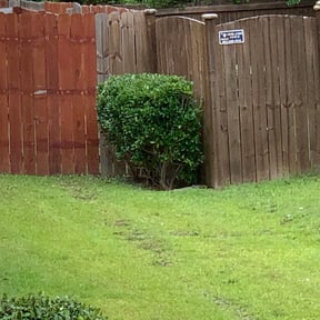 turf maintenance by Spraklin Cleaning Services reviewed on July 15, 2025