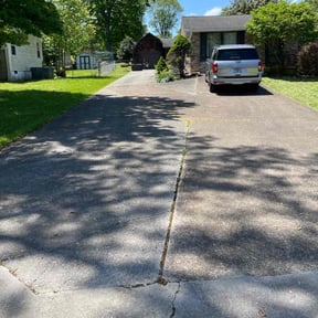 Long Grass Cleanup by Ace lawn service reviewed on August 21, 2025