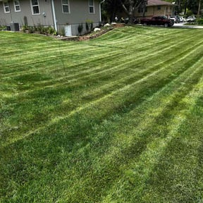 landscaping by Familia landscaping reviewed on November 18, 2025