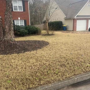 Leaf Removal by Corey J's Lawn Service reviewed on September 16, 2026