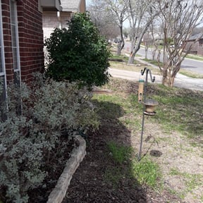 Bush Trimming by K.M.W. Lawn Services & Logistics LLC reviewed on August 15, 2025