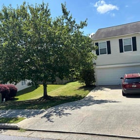 yard work by MoGo Landscaping, LLC reviewed on August 19, 2025