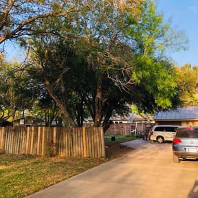 Leaf Removal by Official tycoon lawns reviewed on October 1, 2025