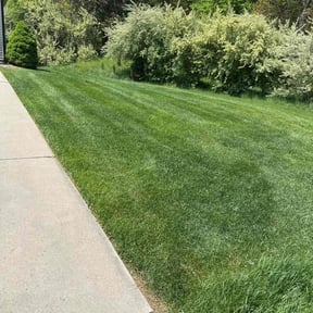 landscaping by LISKO LAWNCARE AND TRASH REMOVAL LLC reviewed on August 21, 2025
