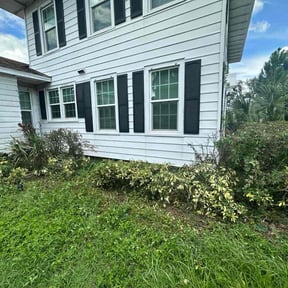 Bush Trimming by Jose Landscaping. reviewed on October 21, 2025