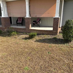 Bush Trimming by C&amp;J landscaping LLC reviewed on November 18, 2025