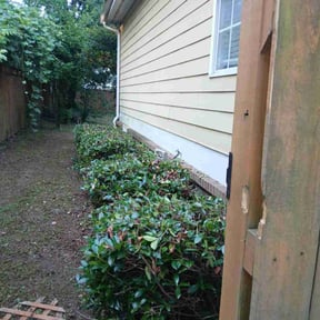 Bush Trimming by Tonys Landscaping LLC reviewed on August 18, 2025