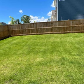 yard work by Georgia turf lawn care reviewed on November 24, 2025