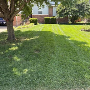 gardening service by Rotating Blades LLC reviewed on January 20, 2026