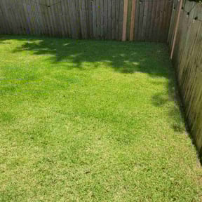 yard care by Swiftcutz reviewed on November 20, 2025