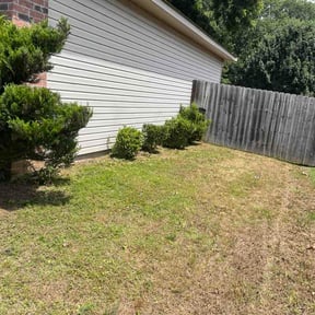 Bush Trimming by Lovely Lawns reviewed on May 30, 2026