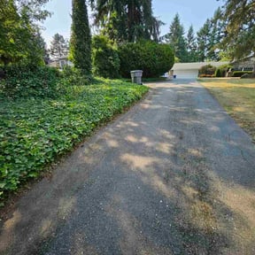 Bush Trimming by Self Made Rich reviewed on November 8, 2025