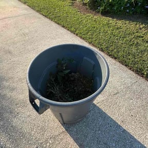 Flower Bed Weeding by K@L Lawn Care reviewed on November 21, 2025