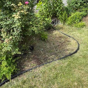 Flower Bed Weeding by Davis yard services reviewed on June 23, 2026