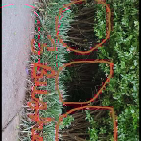 Bush Trimming by Scarlet and gray Lawn Care Management LLC reviewed on August 17, 2025