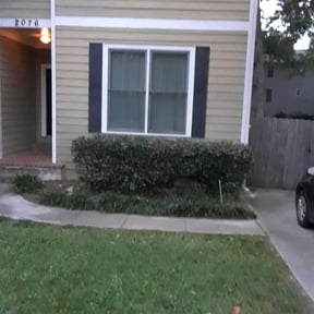 Bush Trimming by 19 Property Landscaping reviewed on August 18, 2025