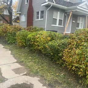 Bush Trimming by MsBarbLawnCare reviewed on May 12, 2023