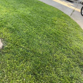 landscape maintenance by Walsh Landscape - Irrigation reviewed on August 18, 2025