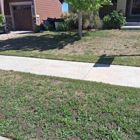 Flower Bed Weeding by Mr. Century Lawn care &amp; Snow Removal reviewed on May 23, 2026