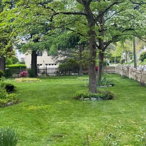 landscape maintenance by Y&amp;R reviewed on November 22, 2025