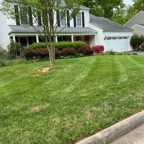 lawn care services by Dinos Lawn Service reviewed on October 2, 2021