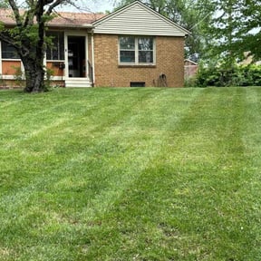 turf maintenance by K and E Naturals LLC reviewed on August 16, 2025