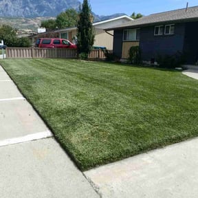 gardening service by AMIR landscape and resources reviewed on August 20, 2025