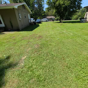 Leaf Removal by ABDIELLANDSCAPING reviewed on October 1, 2025