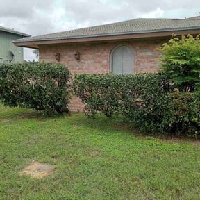 Bush Trimming by Parker services reviewed on April 24, 2026