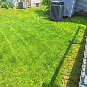 landscaping services by Morales Lawn Care reviewed on August 20, 2025