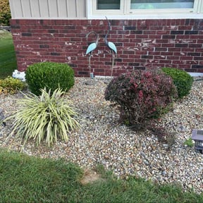 Bush Trimming by Brown's Waterworks reviewed on October 24, 2025