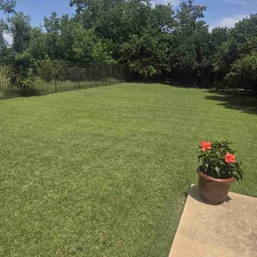 yard care by AJ Landscaping & More reviewed on August 14, 2025