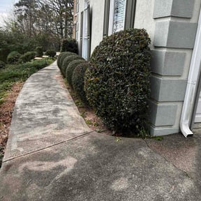 Bush Trimming by Green World reviewed on October 23, 2025