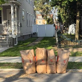 Leaf Removal by Sequoias lawn care reviewed on July 18, 2026