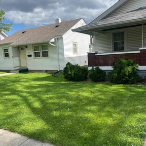 yard maintenance by Velozlawnandlandscape reviewed on April 19, 2024