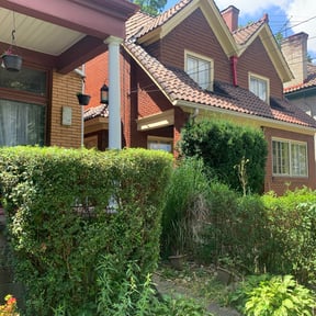 Bush Trimming by Your Money Worth Landscape LLC reviewed on August 16, 2025