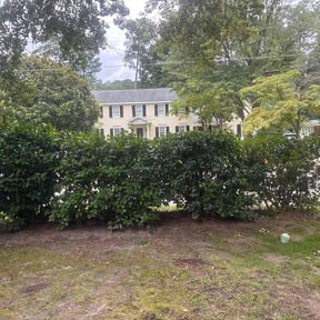 Bush Trimming by Dem Boyz Lawn care Services reviewed on October 20, 2025