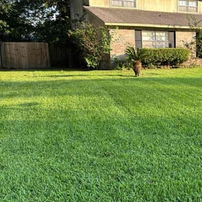 gardening service by Que reviewed on August 15, 2025