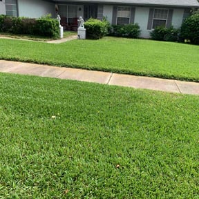landscaping services by Lawn Care reviewed on August 21, 2024