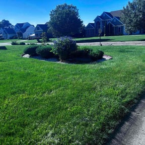 yard care by Chai Vue reviewed on May 18, 2025
