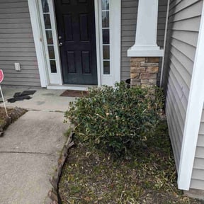 Bush Trimming by Bert's Landscaping and Propery Mantienance reviewed on August 14, 2025