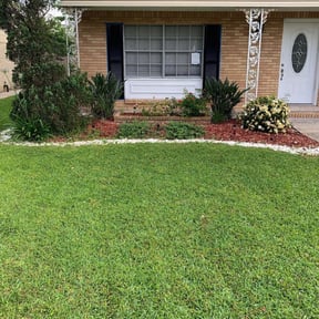 Bush Trimming by Royal Scenery LLC reviewed on August 19, 2025