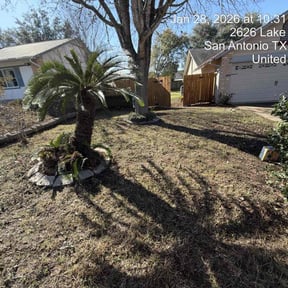 Leaf Removal by Quick Cuts reviewed on June 12, 2026