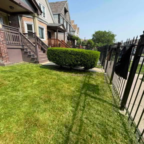 Bush Trimming by Ty's Lawn Care reviewed on August 18, 2025