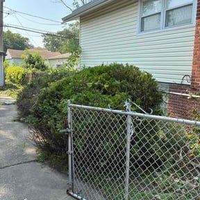 Bush Trimming by Front yard cowboy reviewed on July 22, 2026
