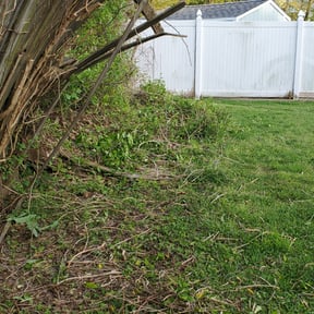 Bush Trimming by Nate's Scapes reviewed on August 18, 2025