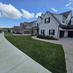 yard maintenance by Blessings Lawn Care Services reviewed on August 17, 2025