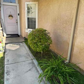 Bush Trimming by Qui property management reviewed on August 20, 2025