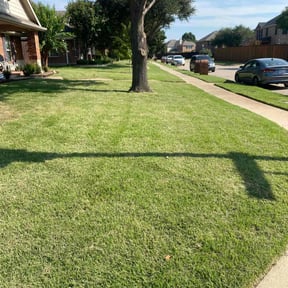 yard work by Greenxblades reviewed on December 18, 2025